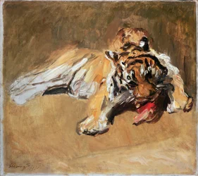 Voedende tijger, 1901